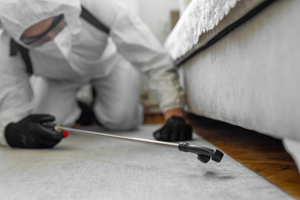 Professional Termite Control technician working in Broadview, IL