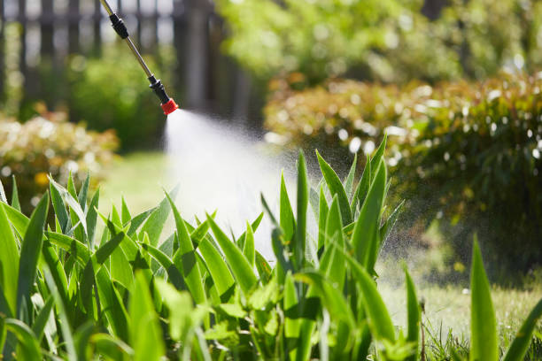 24/7 Emergency Termite Control experts in Broadview, IL
